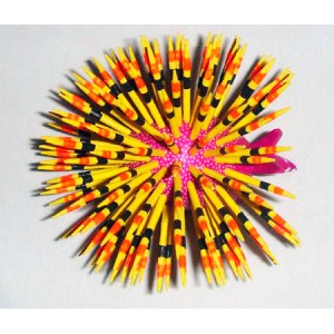ABJ-031        Small Porcupines sizes vary 3″ to 8″